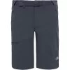 THE NORTH FACE SPEEDLIGHT SHORT ASPGRY/ASPGRY 22