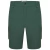DARE 2B TUNED IN II SHORT FERN GREEN 22