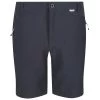 Dare 2b REGATTA HIGHTON SHORT MID INDIA GREY 22