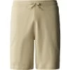 THE NORTH FACE M GRAPHIC SHORT LIGHT GRAVEL 23