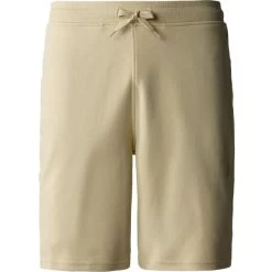 THE NORTH FACE M GRAPHIC SHORT LIGHT GRAVEL 23