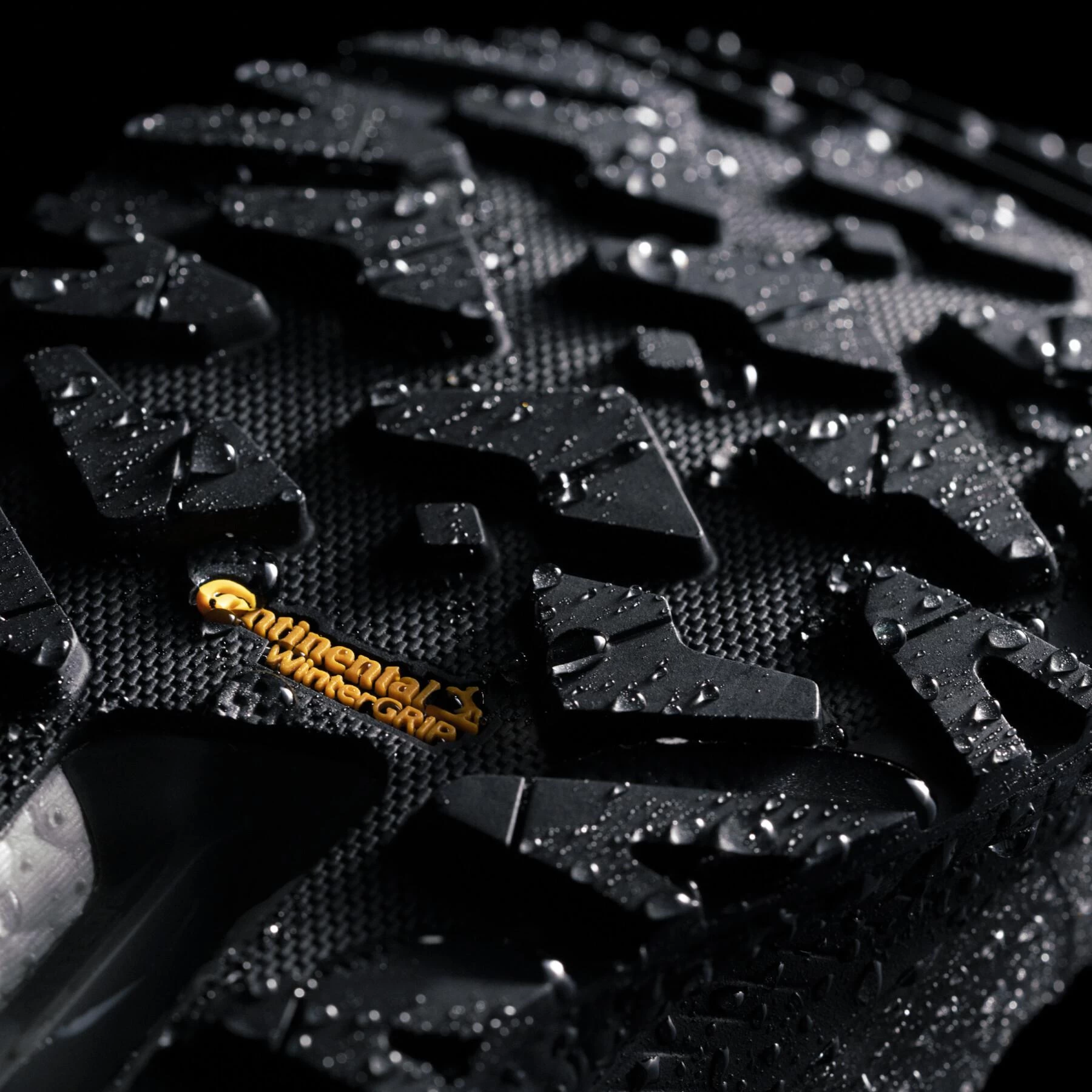 Chaussures De Randonnée Adidas Terrex Free Hiker Cold.Rdy – Image 10