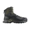 Chaussures De Randonnée Salomon Quest Element Gore-Tex